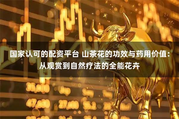 国家认可的配资平台 山茶花的功效与药用价值：从观赏到自然疗法的全能花卉